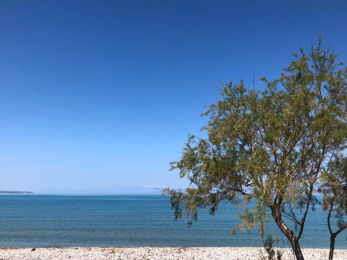 Casa Cuore Modern Stay Near The Sea Káto Ássos المظهر الخارجي الصورة